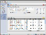 Sales Invoice Entry Screen
